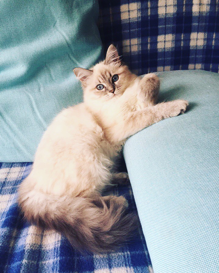 Пропало дитё